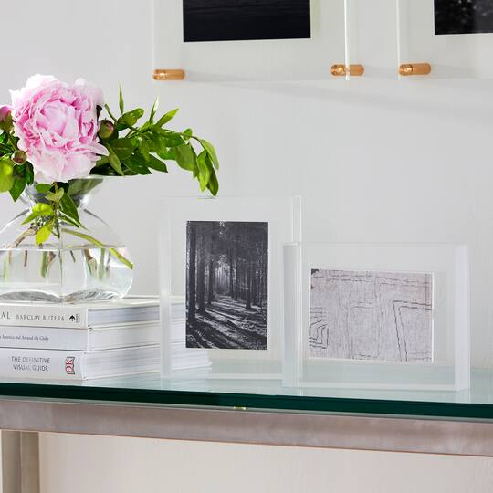 Wexel Art Frost Float Frame with Magnetic Photo Holder